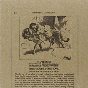 Pretty little lightning paw